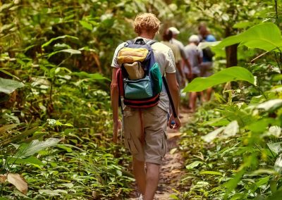 Jungle Trekking