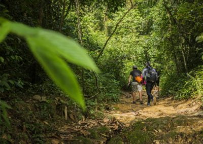 Jungle Trekking