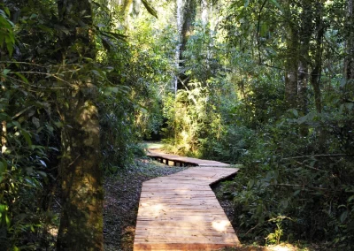 Glamping Camino Selva