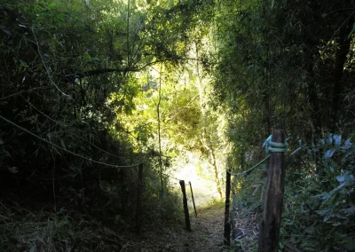 Tamanakuna Selva