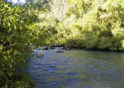 Río